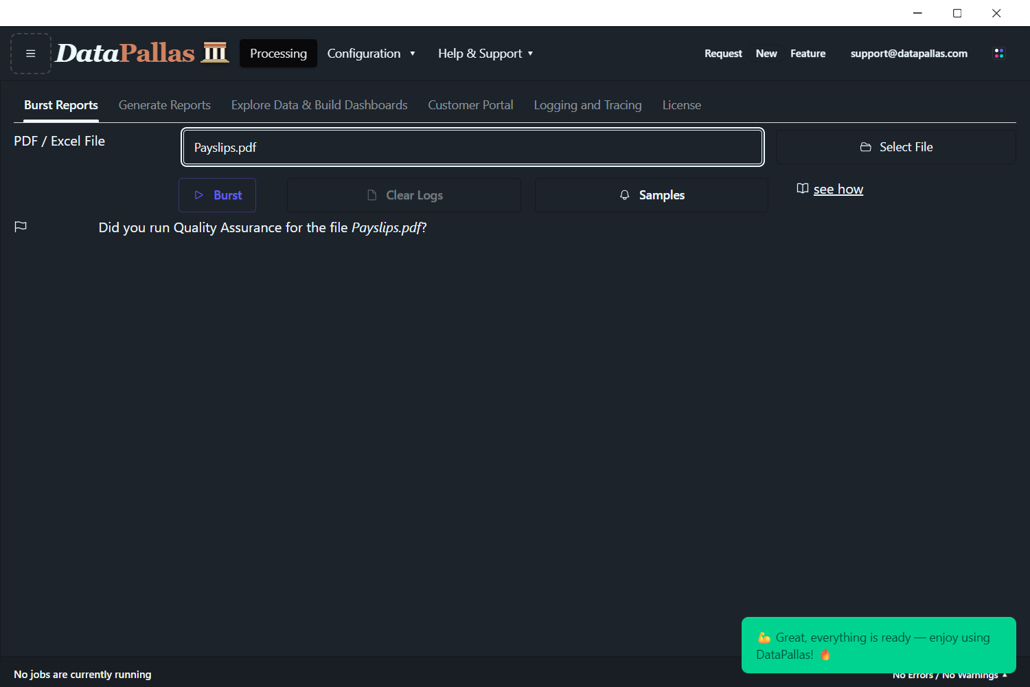 DataPallas with samples/Payslips.pdf selected and the Burst button enabled, ready to process.