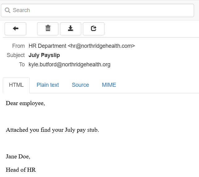 DataPallas Mailhog Email Message