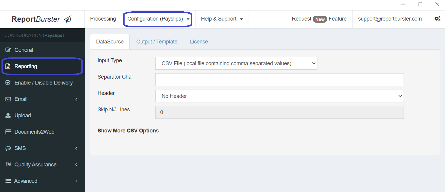 DataPallas Reporting Datasource and Output/Template Configuration