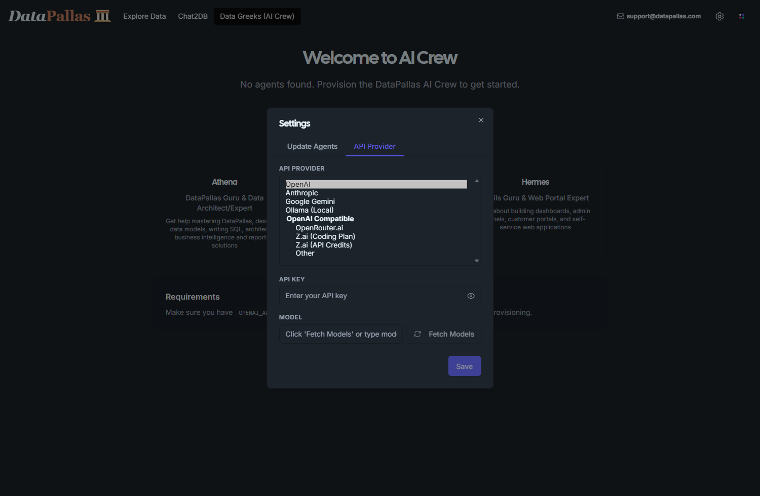 Settings — API Provider: all AI vendors DataPallas supports, with OpenAI and Anthropic at the top, followed by Google Gemini, Ollama, and OpenAI-compatible providers